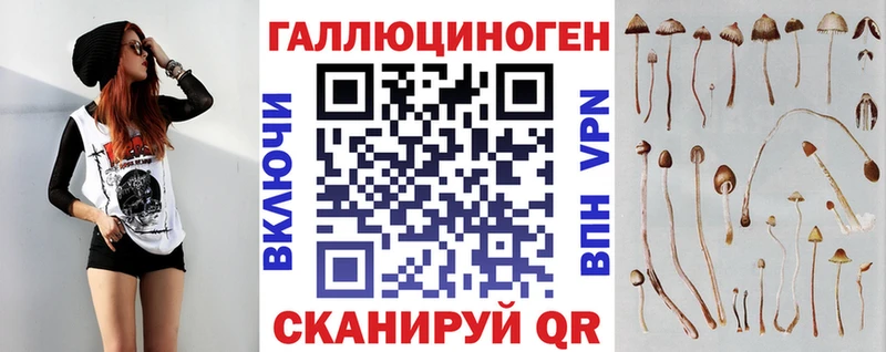 Псилоцибиновые грибы ЛСД  OMG как войти  Таштагол  купить наркоту 